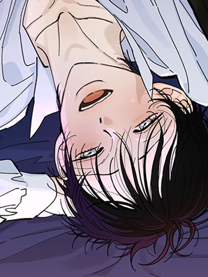 Maison - เมซง