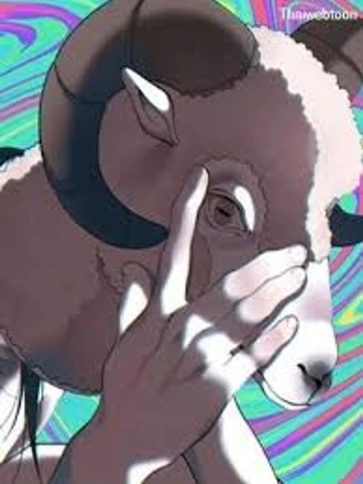 Sheep's Mask - หน้ากากแกะ